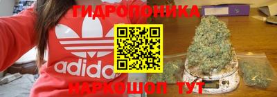 соль ск Лесосибирск